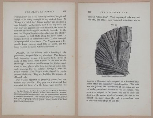 E326 - The Story of the Rocks 1873 - i9528-9529
