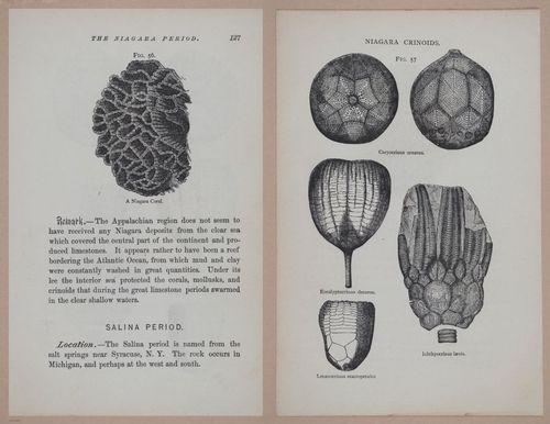 E326 - The Story of the Rocks 1873 - i9530-9531