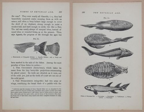 E326 - The Story of the Rocks 1873 - i9538-9539