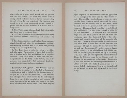 E326 - The Story of the Rocks 1873 - i9540-9541
