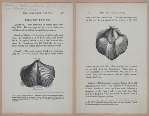 E326 - The Story of the Rocks 1873 - i9542-9543