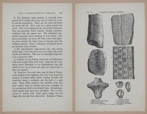 E326 - The Story of the Rocks 1873 - i9560-9561