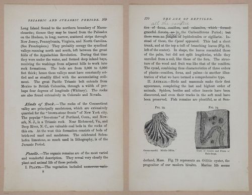 E326 - The Story of the Rocks 1873 - i9572-9573