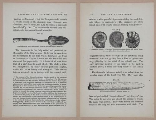 E326 - The Story of the Rocks 1873 - i9574-9575
