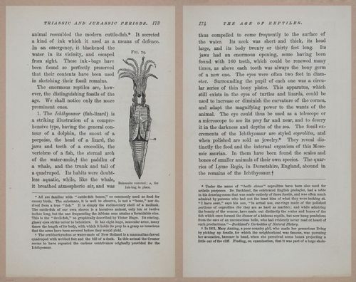 E326 - The Story of the Rocks 1873 - i9576-9577