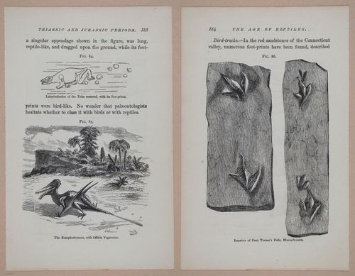 E326 - The Story of the Rocks 1873 - i9584-9585