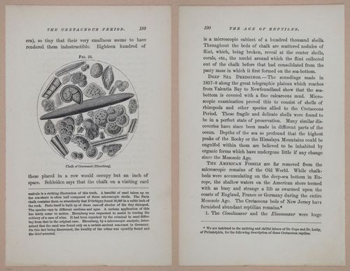 E326 - The Story of the Rocks 1873 - i9590-9591