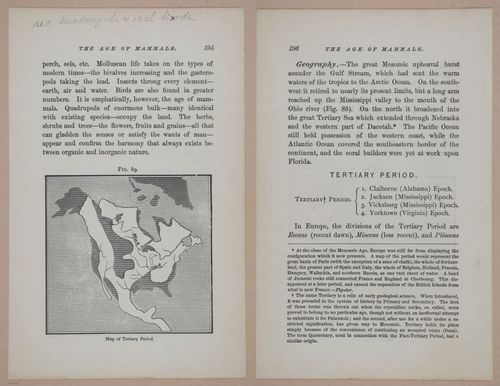 E326 - The Story of the Rocks 1873 - i9596-9597