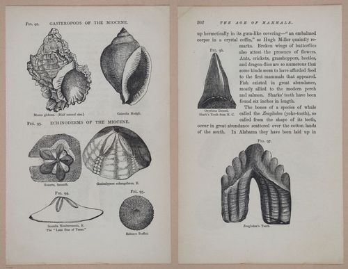 E326 - The Story of the Rocks 1873 - i9602-9603