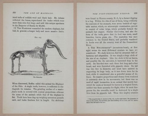 E326 - The Story of the Rocks 1873 - i9628-9629