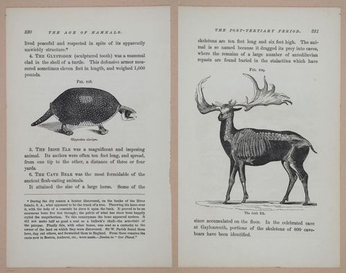 E326 - The Story of the Rocks 1873 - i9630-9631
