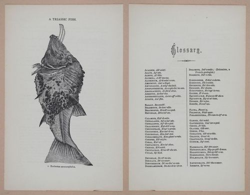 E326 - The Story of the Rocks 1873 - i9672-9673