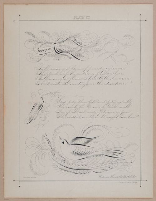 E297 - Hill's Manual of Social and Business Forms 1890 - 6238