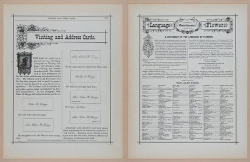 E297 - Hill's Manual of Social and Business Forms 1890 - 6466-6467