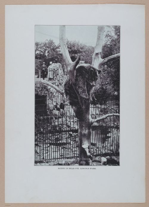 E338 - Chicago World's Fair - 1892 - i10780