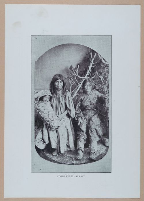 E338 - Chicago World's Fair - 1892 - i10956