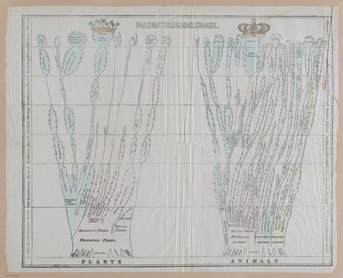 E342 - Elementary Geology - i11195-11196-11197-11198