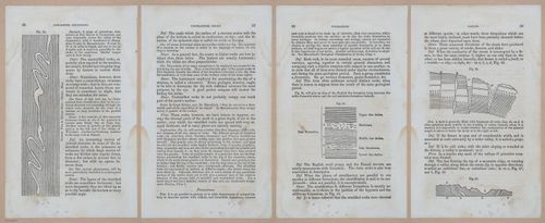E342 - Elementary Geology - i11246-11247-11248-11249