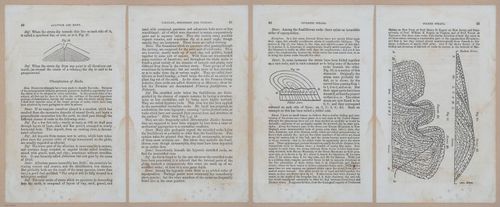 E342 - Elementary Geology - i11250-11251-11252-11253