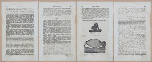 E342 - Elementary Geology - i11274-11275-11276-11277