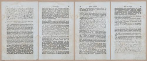 E342 - Elementary Geology - i11286-11287-11288-11289