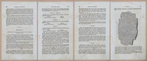 E342 - Elementary Geology - i11290-11291-11292-11293