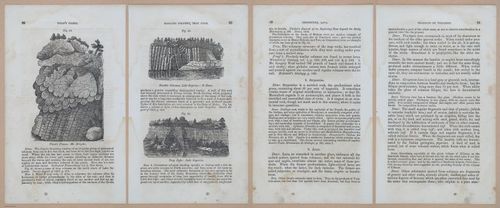 E342 - Elementary Geology - i11298-11300-11301-11302