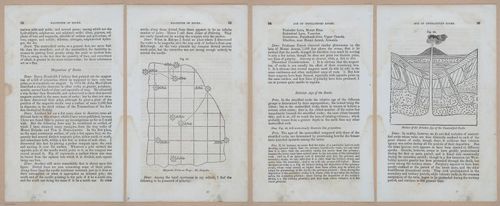 E342 - Elementary Geology - i11303-11304-11305-11306