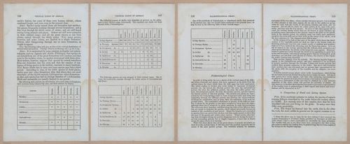 E342 - Elementary Geology - i11327-11328-11329-11330