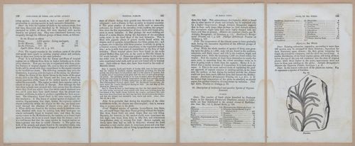 E342 - Elementary Geology - i11331-11332-11333-11334