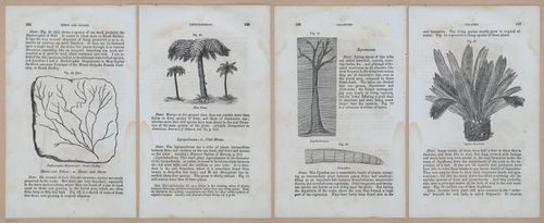 E342 - Elementary Geology - i11335-11336-11337-11338