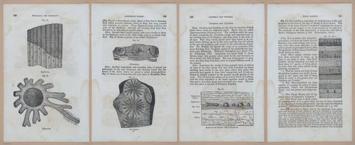 E342 - Elementary Geology - i11339-11340-11341-11342