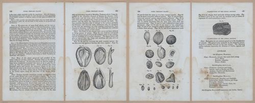 E342 - Elementary Geology - i11343-11344-11345-11346