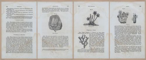 E342 - Elementary Geology - i11347-11348-11349-11350