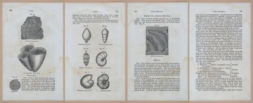 E342 - Elementary Geology - i11351-11352-11353-11363