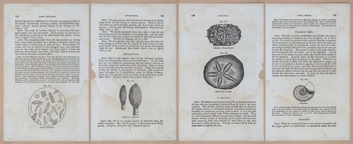 E342 - Elementary Geology - i11364-11365-11366-11367