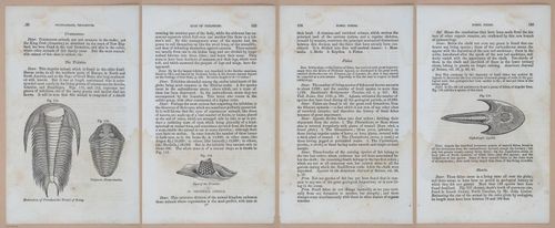 E342 - Elementary Geology - i11372-11373-11374-11375