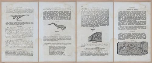 E342 - Elementary Geology - i11381-11382-11383-11384