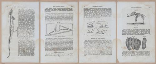 E342 - Elementary Geology - i11389-11390-11391-11392