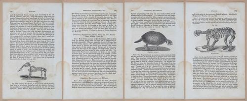 E342 - Elementary Geology - i11394-11395-11396-11397