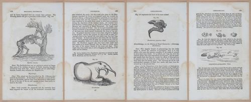 E342 - Elementary Geology - i11399-11400-11401-11402