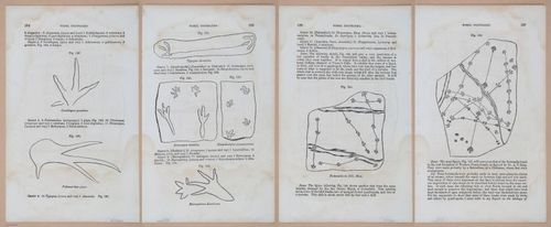 E342 - Elementary Geology - i11407-11408-11409-11410