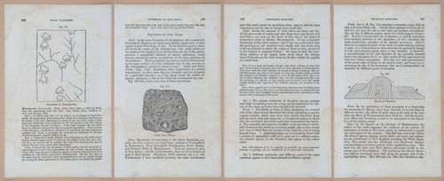 E342 - Elementary Geology - i11411-11412-11413-11414