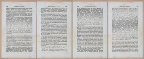 E342 - Elementary Geology - i11419-11420-11421-11422