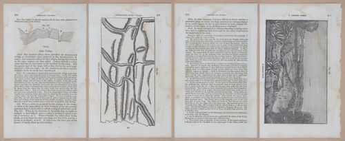 E342 - Elementary Geology - i11439-11440-11441-11442