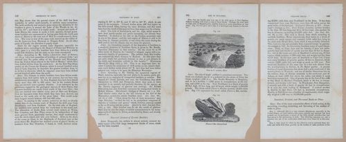 E342 - Elementary Geology - i11463-11464-11465-11466