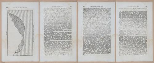 E342 - Elementary Geology - i11489-11490-11491-11492