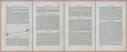 E342 - Elementary Geology - i11493-11494-11495-11496
