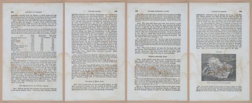 E342 - Elementary Geology - i11518-11519-11520-11521