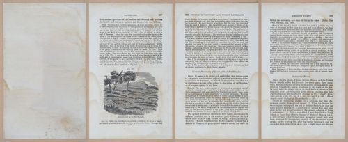 E342 - Elementary Geology - i11522-11523-11525